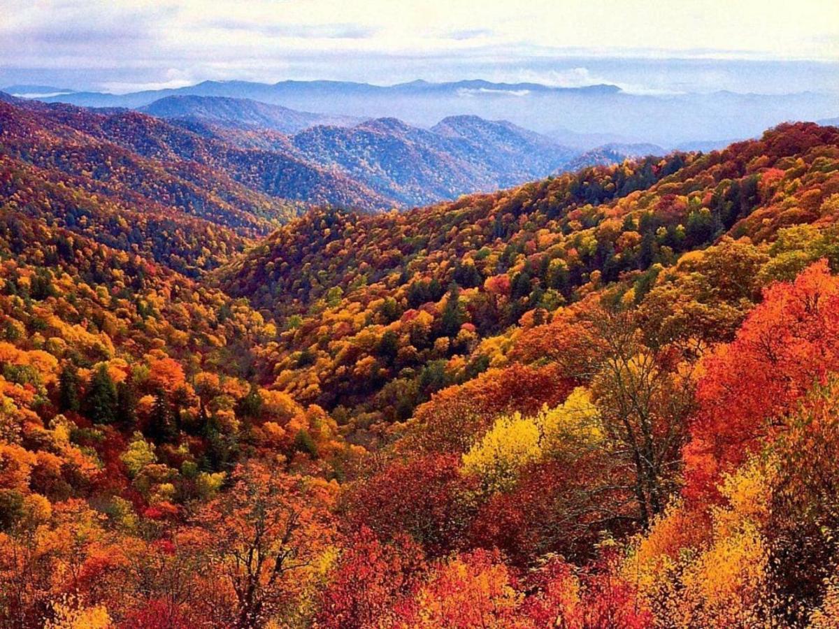 Wow Views!!-Mountain Escape-Outdoor Pool-Close To Downtown-Wifi-Cable-Private Balcony Gatlinburg Exterior photo